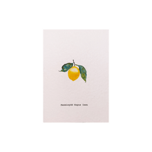Load image into Gallery viewer, Celtic Herbal x Folded London Welsh Language Greeting Cards - Penblwydd Hapus Iwan